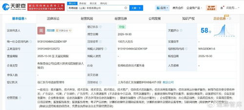 高德在上海成立銷服科技公司，注冊資本100萬元專注信息技術咨詢